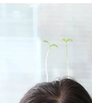 2pcs Hair Clip Plants Show Moe Artifact Small Bean Sprouts Miaofa Clip Head Long Grass Wacky Cartoon Headdress Flower spring fancy dress  mushroom clover flower sunflower shoot