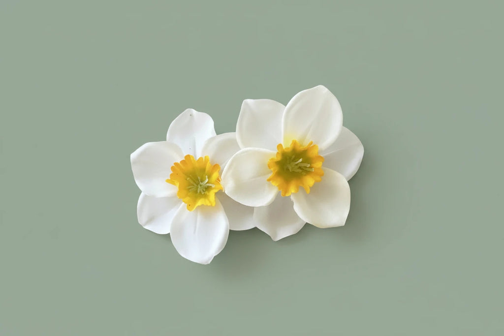 Sweet Yellow Pink White Double Flowers Hair Clips Side Clip Barrette for Women Girl Beach Wedding Flower Hairclip Accessory Caribbean hair Hawaii  cruise holiday ladies
