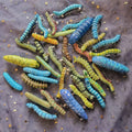 1/10pcs 3D Caterpillar Hair Clips Novelty Insect Hairpins Halloween Prank Toys Creepy Crawlers Headwears Cosplay Adults Party