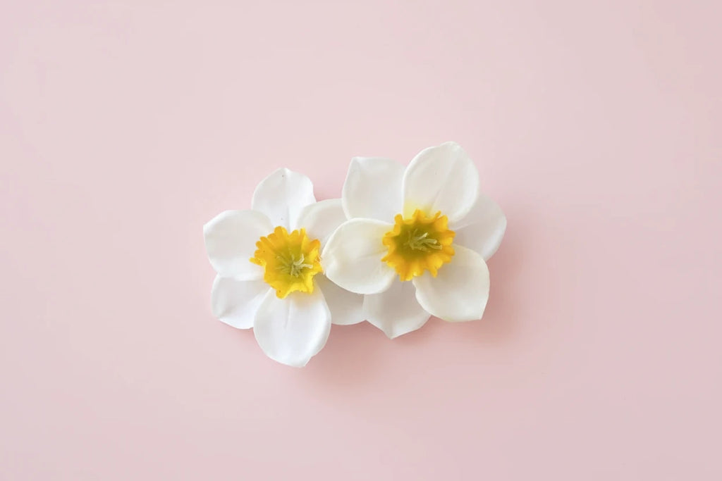 Sweet Yellow Pink White Double Flowers Hair Clips Side Clip Barrette for Women Girl Beach Wedding Flower Hairclip Accessory Caribbean hair Hawaii  cruise holiday ladies