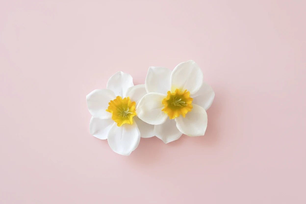 Sweet Yellow Pink White Double Flowers Hair Clips Side Clip Barrette for Women Girl Beach Wedding Flower Hairclip Accessory Caribbean hair Hawaii  cruise holiday ladies